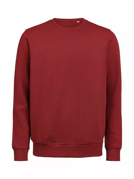 UM Crewneck Regular Fit, Brick - Kaikki Profiilivaatemerkit - 3430010-480 - 1