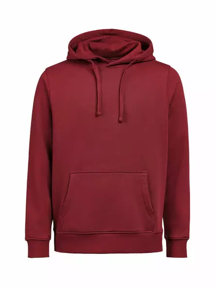 UM Hoodie Regular Fit, Brick - Kaikki Profiilivaatemerkit - 3440010-480 - 1