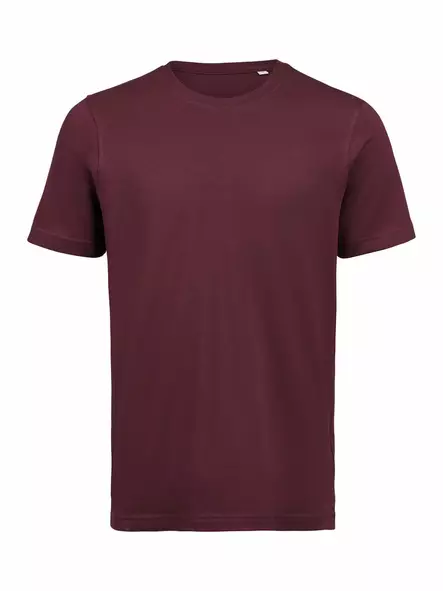 UM T-Shirt Regular Fit, Prune - Kaikki Profiilivaatemerkit - 3410010-490 - 1