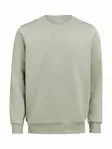 UM Crewneck Regular Fit, Sage - Kaikki Profiilivaatemerkit - 3430010-750 - 1