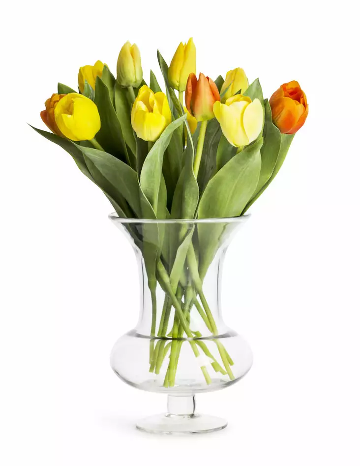 Sagaform Trophy maljakko, kirkas - Koti ja Keittiö - 8711670 - 1