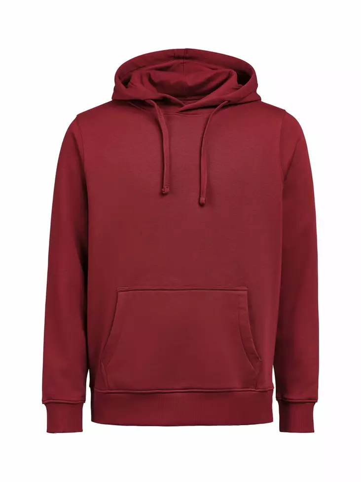 UM Hoodie Regular Fit, Brick - Kaikki Profiilivaatemerkit - 3440010-480 - 1