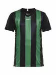 PROGRESS Jersey Stripe JR, Black/Team Green - Craft Vaatteet - 1905584-9651 - 1