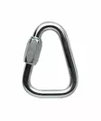 Petzl DELTA 10 mm Triangular steel quick link - Petzl putoamissuojaimet - P11 - 1