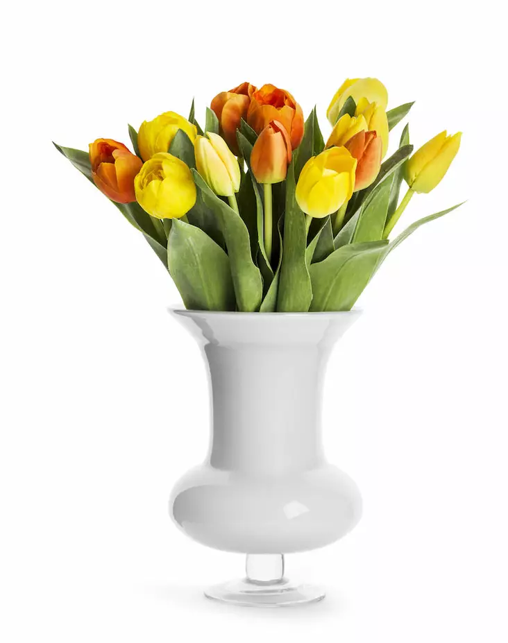 Sagaform Trophy maljakko, valkoinen - Koti ja Keittiö - 8711671 - 1