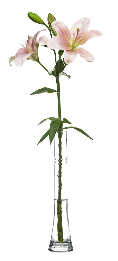 Sagaform Bubbla maljakko, korkea - Koti ja Keittiö - 8711664 - 1