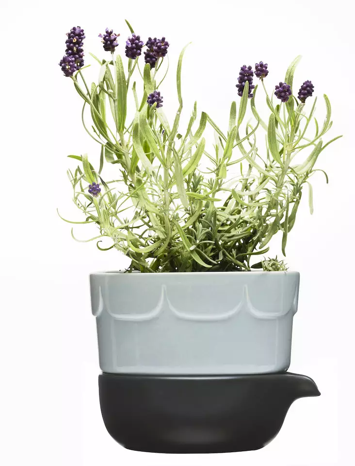 Sagaform Green 2-osainen yrtti-/kasvatusruukku, laventeli - Koti ja Keittiö - 5016664 - 1