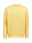 UM Crewneck Regular Fit, Ray - Kaikki Profiilivaatemerkit - 3430010-205 - 1