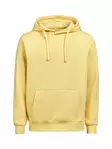 UM Hoodie Regular Fit, Ray - Kaikki Profiilivaatemerkit - 3440010-205 - 1