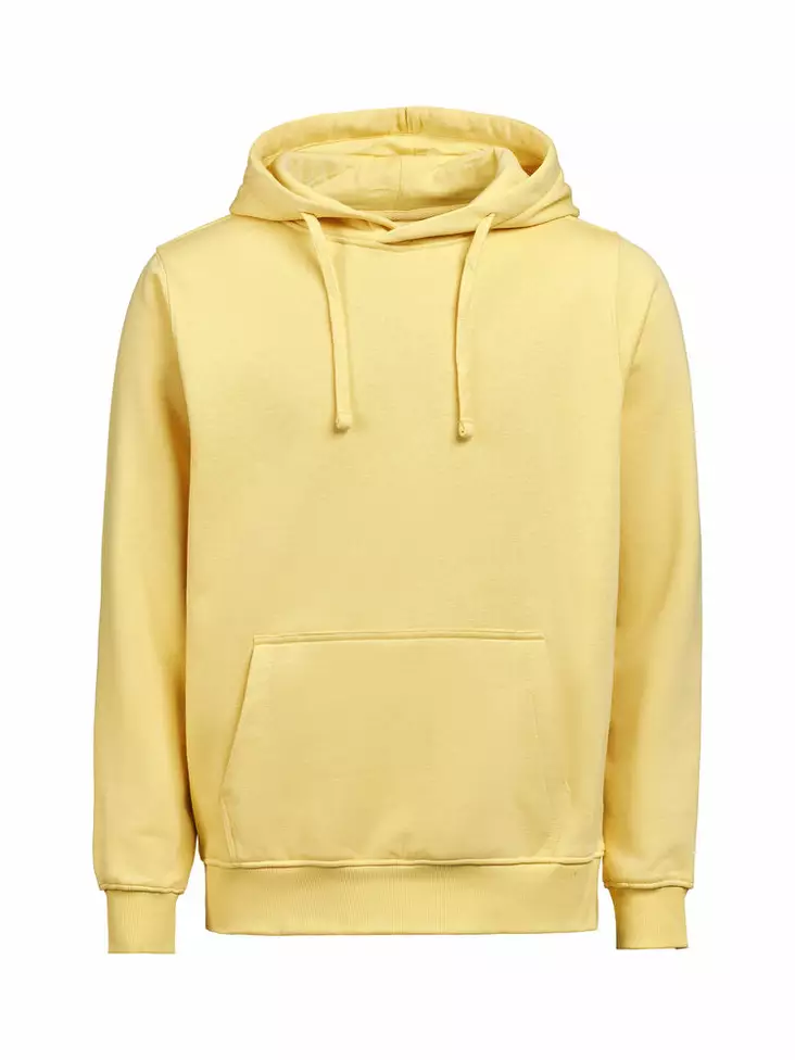 UM Hoodie Regular Fit, Ray - Kaikki Profiilivaatemerkit - 3440010-205 - 1