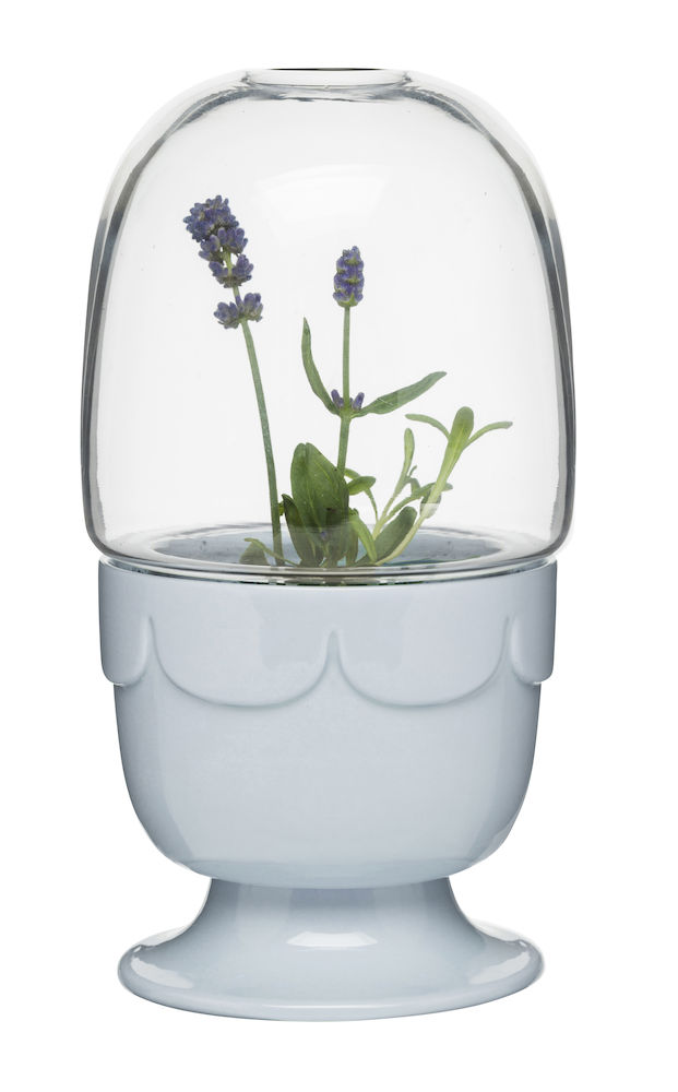 Sagaform Green kasvihuone lasikannella, laventeli - Koti ja Keittiö - 5017187 - 1